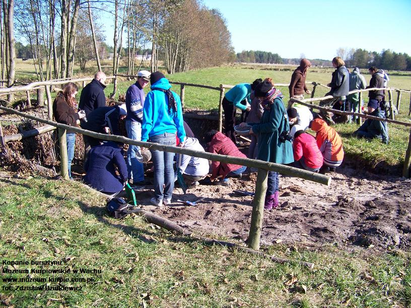 8kopanie_bursztynu
