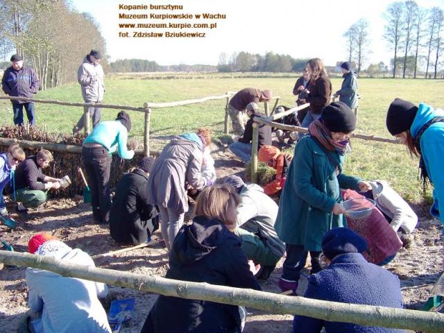 2kopanie_bursztynu